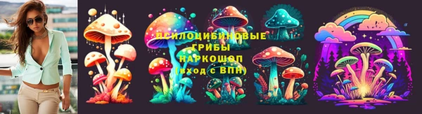 кокс Ростов