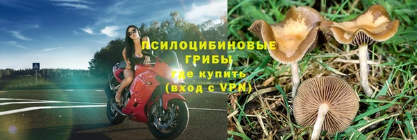 кокс Ростов